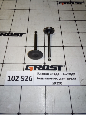 Клапан входа + выхода бензинового двигателя GX390