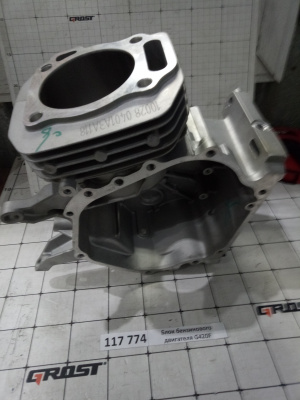 Блок бензинового двигателя G420F