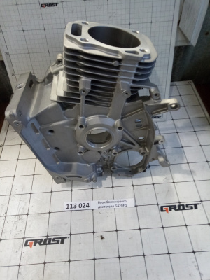 Блок бензинового двигателя G420FD