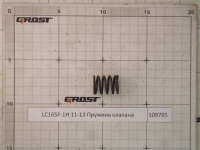 LC165F-1H 11-13 Пружина клапана